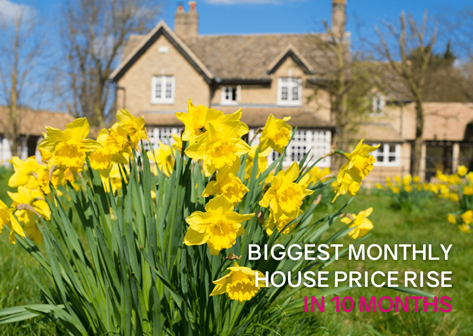 Robust activity in the housing market as we head into spring