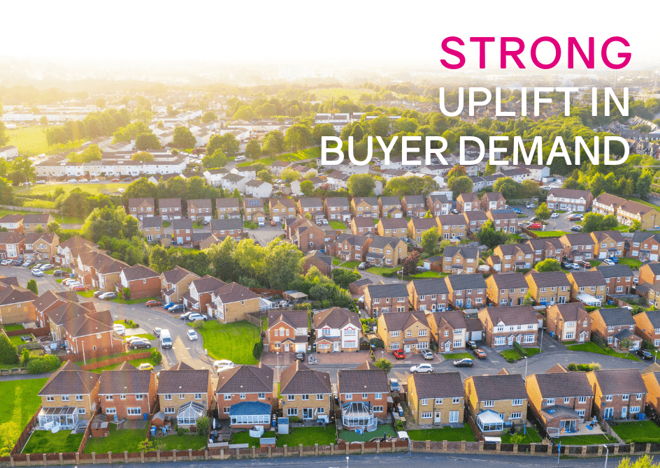 Strong uplift in buyer demand in early 2024