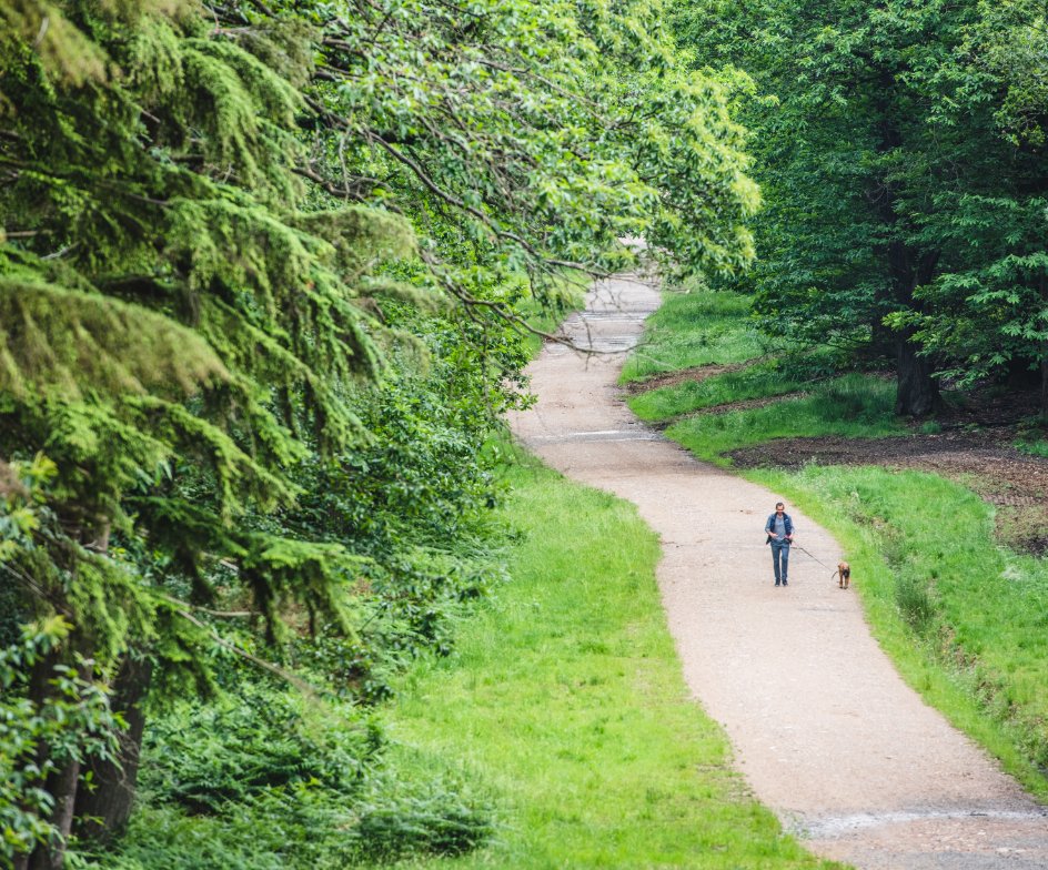 Bracknell Leisure and Green Spaces